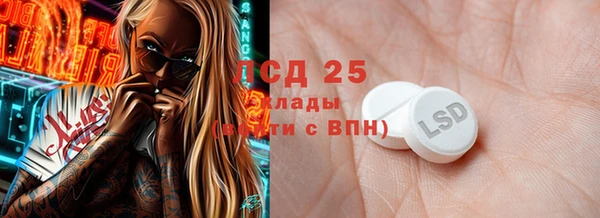 шишки Бородино